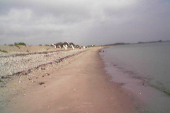 Kueste