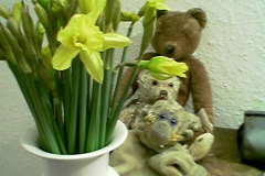 blumen3
